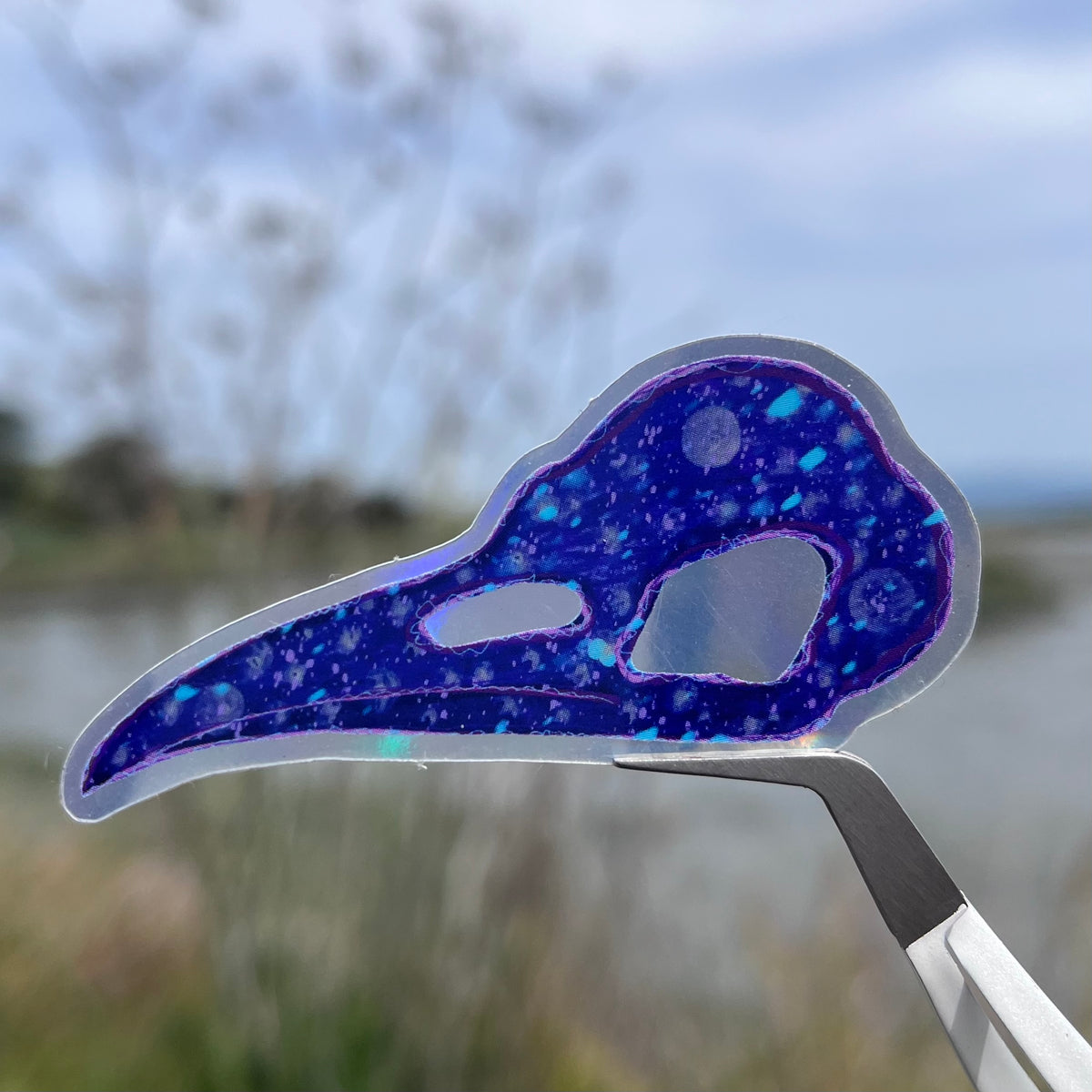 Galaxy Crow Skull Holographic Sticker
